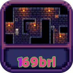 169brl